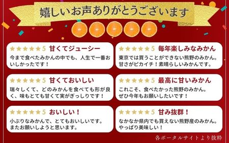 みかん 完熟熊野みかん 10kg【nkmr0002A】