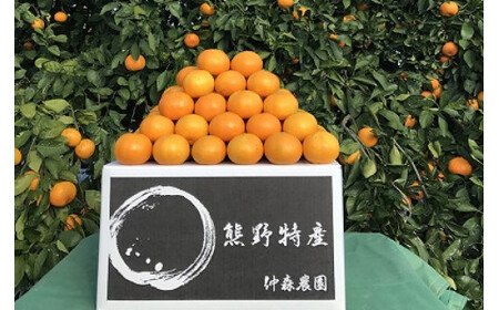 みかん 完熟熊野みかん 10kg【nkmr0002A】