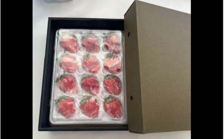 完熟朝どれ いちご 「よつぼし」12粒（約290g）【kmng0031A】