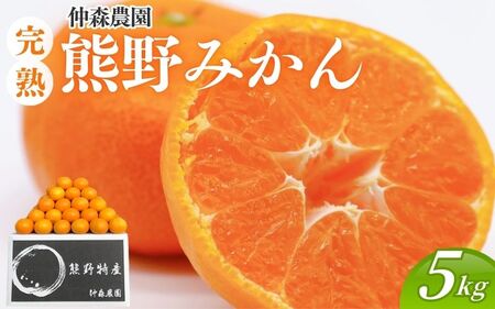 みかん 完熟熊野みかん 5kg【nkmr0010】