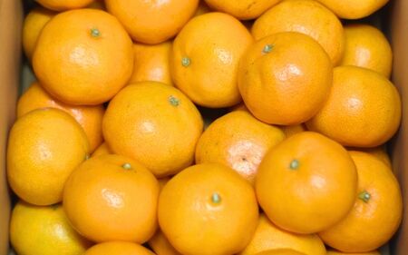 みかん 完熟熊野みかん 5kg【nkmr0010】