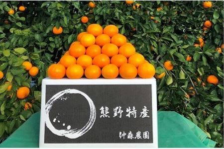 みかん 完熟熊野みかん 5kg【nkmr0010】