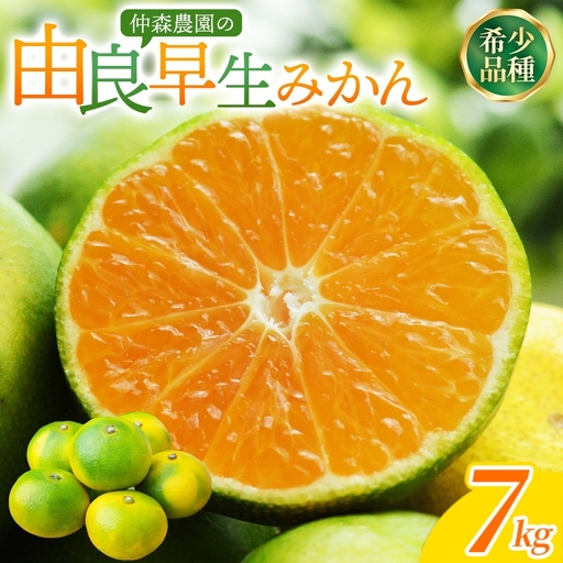 みかん 由良早生みかん 約7kg【2026年11月上旬頃~11月中旬頃に順次発送】【nkmr0021】