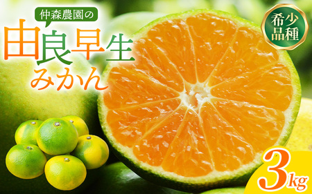 みかん 由良早生みかん 約3kg【2026年11月上旬頃～11月中旬頃に順次発送】【nkmr0019】