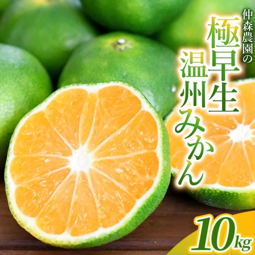 みかん 極早生温州みかん 約10kg【nkmr0018】