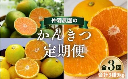 みかん 定期便 3回 計9kg【超極早生温州・由良早生・早生温州】みかん【nkmr-tkb0019】