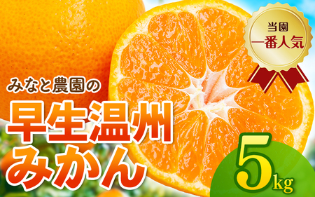 【数量限定】みかん 早生温州みかん 約5kg【mntf0009】