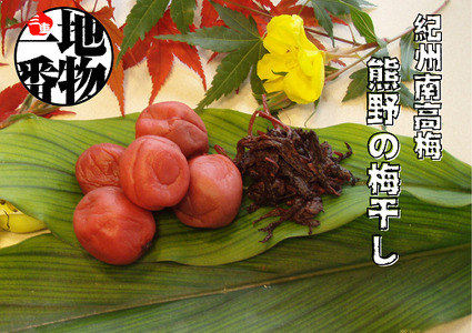 梅干し 南高梅 無添加 しそ漬け梅干し 110g×5【frsn0003】