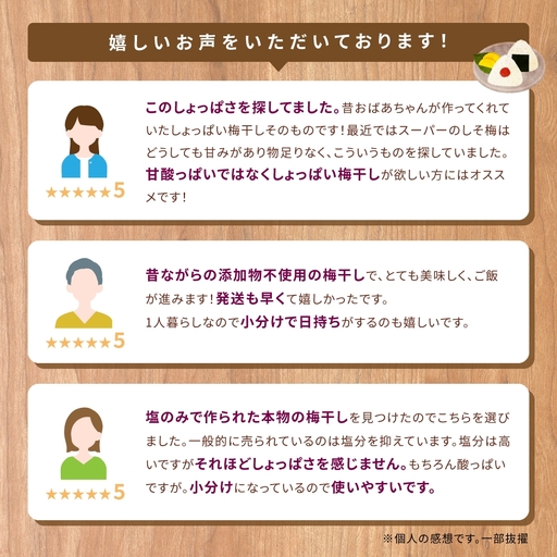 梅干し 小分け 南高梅 無添加 しそ漬け梅干し 110g×5【frsn0003A】