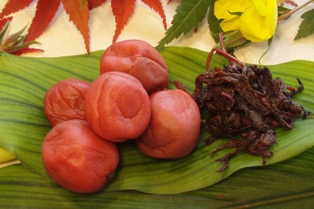 梅干し 紀州熊野のしそ漬け梅干し 400g【frsn0004】