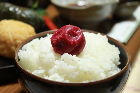 梅干し 紀州熊野のしそ漬け梅干し 400g【frsn0004】