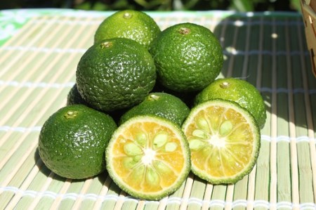 三重県熊野市産 新姫 サイダー 250ｍｌ × 12本【frsn0018】