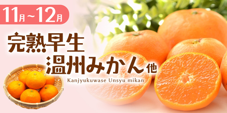 みかん 柑橘詰合せ 約4.5㎏ みかん【szjk0010】