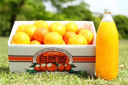 みかん＆まるごと果汁詰合せ みかん【szjk0001】 6,750円