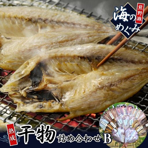 干物 海の恵み 詰め合わせB 干物【hatt0002】