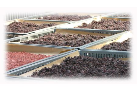 熊野乃梅 うす塩 (塩分9%)500g×3Pとしそふりかけ【snby0005】