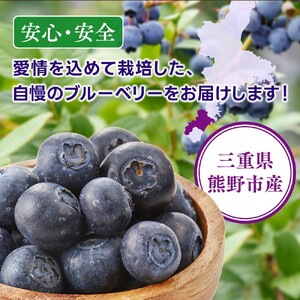 冷凍 ブルーベリー 1kg  金山パイロットファーム ベリー【knpr0009A】