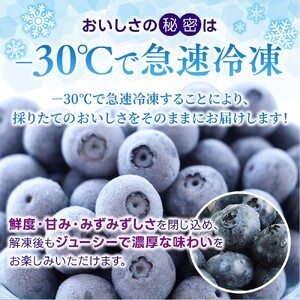 冷凍 ブルーベリー 2kg 金山パイロットファーム ベリー【knpr0010A】