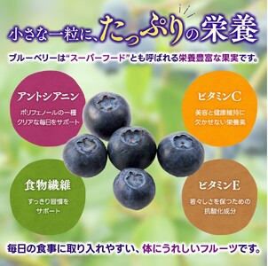 冷凍 ブルーベリー 3kg 金山パイロットファーム ベリー【knpr0011A】