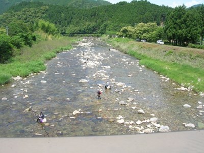 大又川アユ友釣り 年券鑑札 引換券