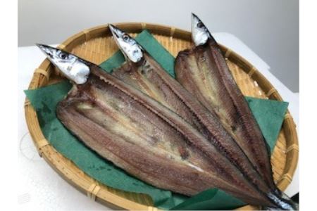 ひもの詰め合わせ　しあわせセット【hsuo0001】