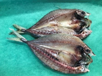 ひもの詰め合わせ　しあわせセット【hsuo0001】