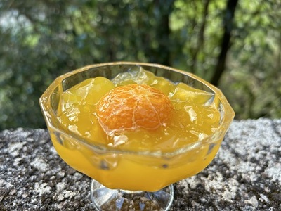 みかんゼリー 熊野みかん&甘夏みかんゼリー 17個 包装なし ご家庭用 | みかん ミカン 国産 フルーツゼリー デザート シャーベット スイーツ フルーツ 果物 くだもの おやつ 人気 おすすめ 三重県 熊野市【kmkn0075】