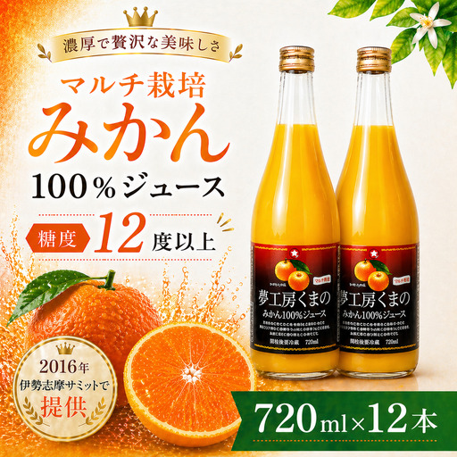 糖度12度以上【マルチ栽培みかんストレートジュース12本】720ml×12本　段ボール箱【kmkn0078】
