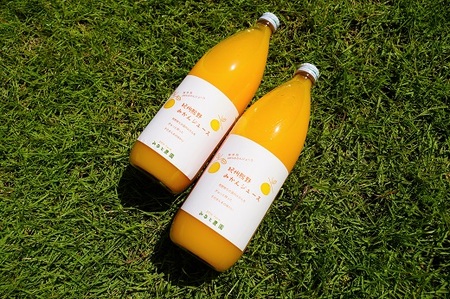 湊農園のみかん搾ったまんま!【紀州熊野みかんジュース】1000ml×6本 段ボール箱【2025年12月以降順次発送予定】【kmkn0089】
