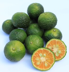 新姫 ごまドレッシング 220ml×2本 絶品!中谷商店のごまドレッシング!【kmkn0121】