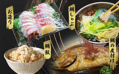 鯛 新姫熊野鯛 下処理済み 一匹 冷蔵【mzsi0001-1】