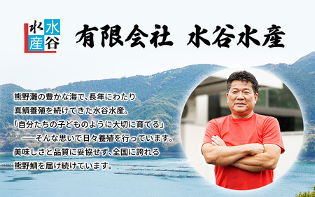 鯛 新姫熊野鯛 下処理済み 一匹 冷蔵【mzsi0001-1】