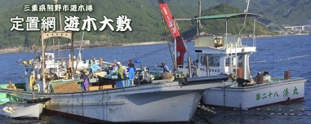 貸し切り！楯ヶ崎【青の洞窟】遊覧と魚料理が自慢のお宿「民宿はまけん