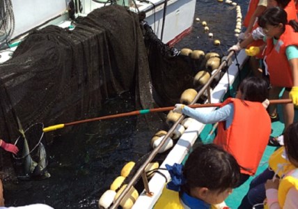 貸し切り！楯ヶ崎【青の洞窟】遊覧と魚料理が自慢のお宿「民宿はまけん