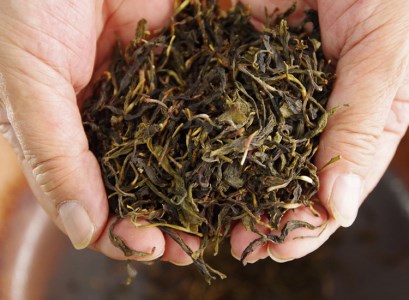 熊野番茶染め　Ｔシャツ　茶色（銅媒染）（XLサイズ）