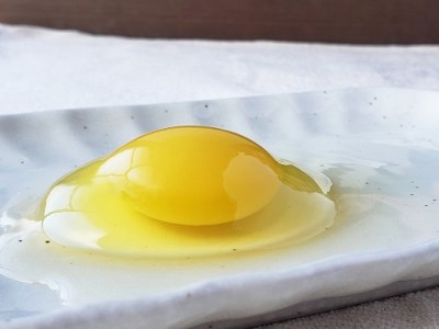 卵 平飼い有精卵 あそぼらん 30個 卵 たまご 玉子 タマゴ 卵焼き 玉子焼き 卵料理【asit0001A】