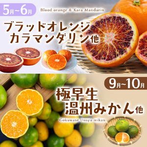 【3回定期便】みかん 柑橘詰合せ 3.5kg みかん【szjk-tkb0005】