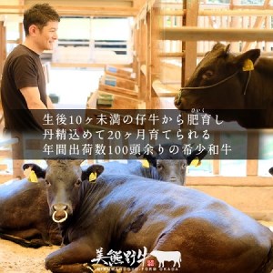 【美熊野牛】切り落とし　400g 黒毛和牛 希少 和牛