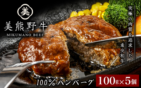 ハンバーグ 美熊野牛 100％ 100g×5個 牛肉 肉 惣菜【okad0007】