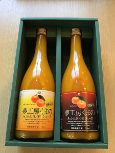 完熟温州みかん使用！無添加ストレートジュース　マルチ･レギュラー2種セット720ml×2本(化粧箱入り)　【kmkn0204】