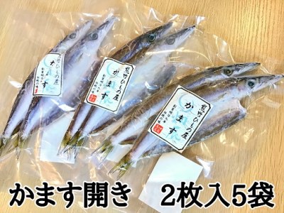 熊野の老舗干物屋　畑辰商店【かます開き☆2尾入り】×5袋【kmkn0252】