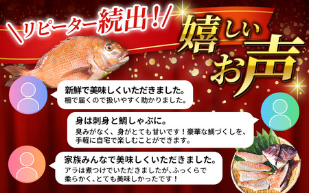 鯛 新姫熊野鯛 お刺身用短冊 アラ付き 冷凍【mzsi0003-2】