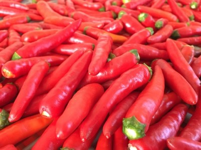 【テレビで紹介されました】 熊野ドレッシング3本【kmng0013】