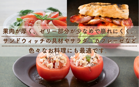 【2026年1月以降配送】熊野薬草園の大玉トマト(1.2㎏) トマト 大玉トマト 熊野【kmys0005】