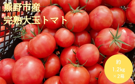 【2026年1月以降配送】熊野薬草園の大玉トマト(1.2㎏×2箱) トマト 大玉トマト 熊野【kmys0006】