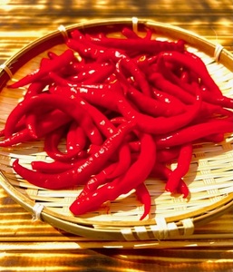 【テレビで紹介されました】 一味唐辛子 プサジュエラ【kmng0023】