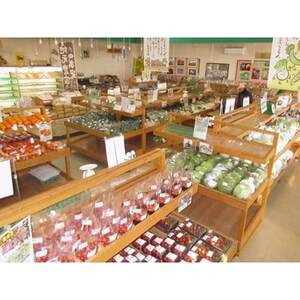 三重県いなべ市の農産物直売所「ふれあいの駅うりぼう」より「旬の新鮮野菜・果物セット」をお届けします!【配送不可地域：離島・北海道・沖縄県】【1201237】