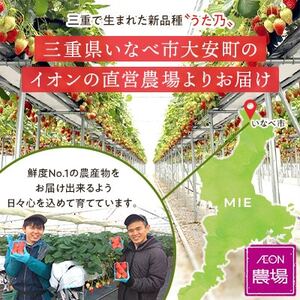【イオンいなべ農場からお届け!】いちご「うた乃」約270g×4パック【配送不可地域:離島】【1670981】