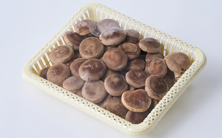 贈答品用椎茸かご盛りセット(大)【配送不可地域:離島】【1201271】