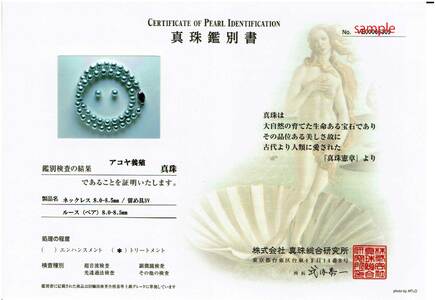 老舗の真珠専門店・高品質アコヤ真珠ブルーネックレスセット8.0～8.5ｍｍ（ピアスセット） / あこや ネックレス 真珠 伊勢志摩 志摩 アクセサリー ギフト パール 母の日 記念 冠婚葬祭 〔600-09〕